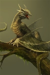 The Lost Little Lizard