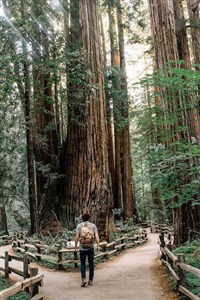 Foreworlds: A LitRPG story