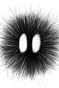 SOL