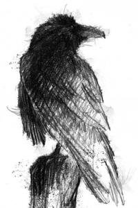 God of The Crows