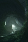 The Runic Swamp