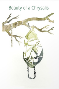 Beauty of a Chrysalis