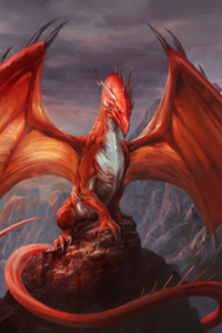 Me? Dragon