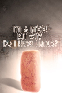 I'm a brick! But why do I have hands?