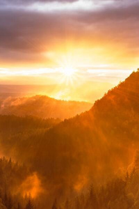 Hunting Dawn