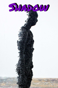 Shadow