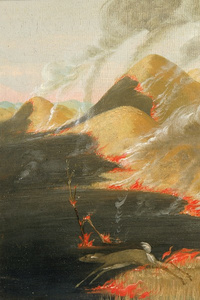 Affinity for Fire