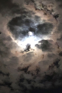 Autumn Star | Royal Road