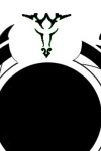 The All-Knowing Novice