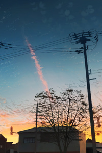 Hidden Gems Royal Road