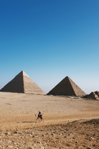 The Pharaoh's Scarabaeus