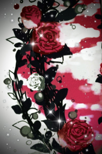 The Sephelyr Rose
