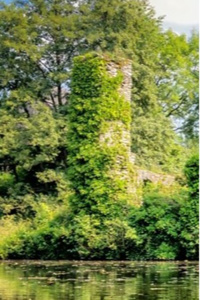 Wizard's Tower