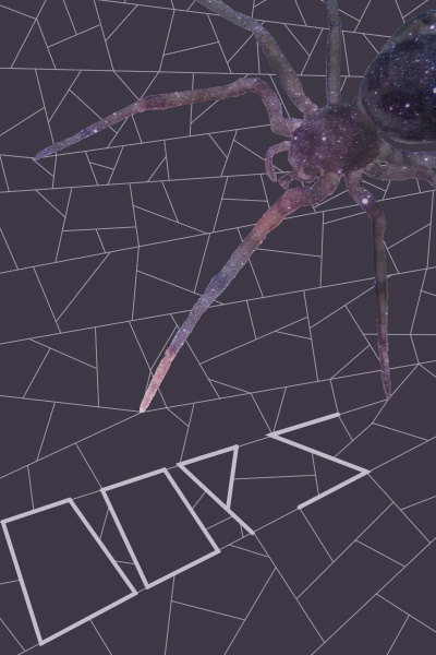 Oops, Space Spider
