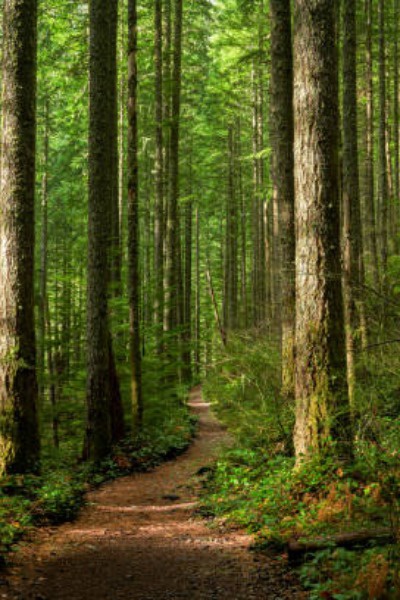 Drifting In A New World Royal Road