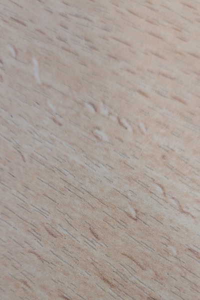 Dungeon Master S Misunderstood Retreat Royal Road