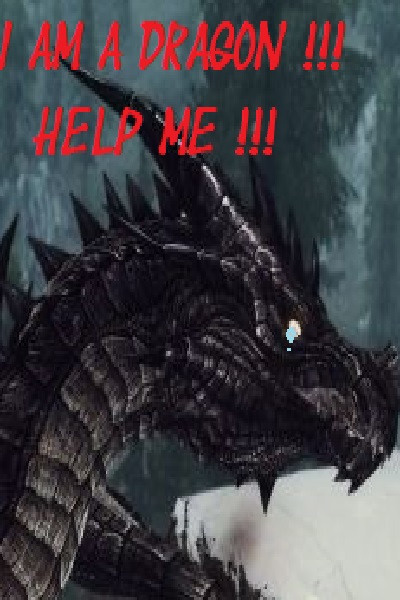I am a dragon! Help me! I'm a dragon! (TOME 2 of the TIAMAT'S WARS SERIE)