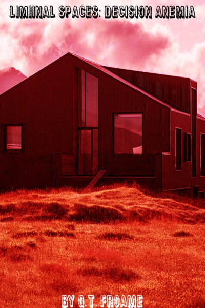 Cover for Liminal Spaces: Decision Anemia