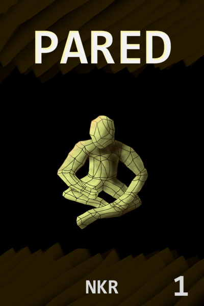 Cover for Pared