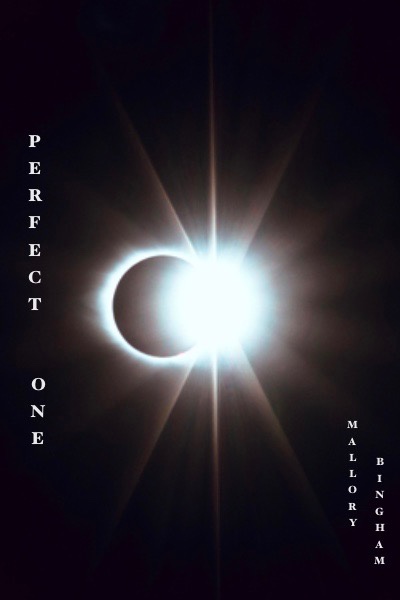 Perfect One | Royal Road