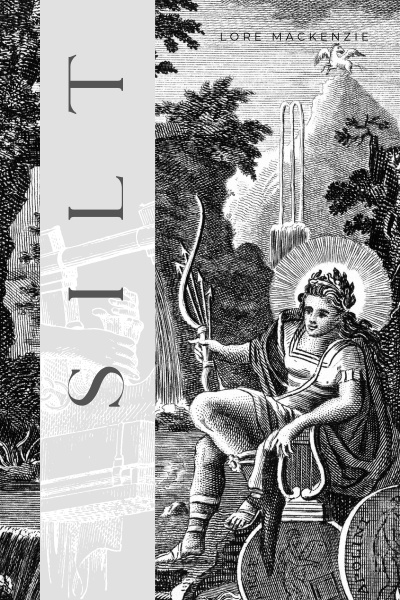 Cover for Silt