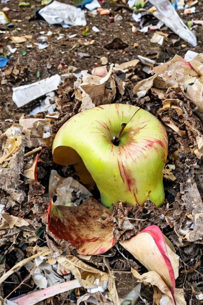 The Discarded, Half-Eaten Apple Core New Life. An OP Dungeon Post-Apocalyptic LitRPG.