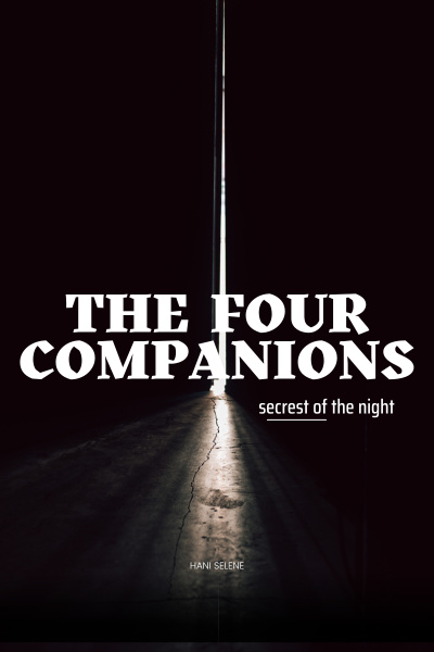 Cover for The Four Companions:secrets of the night