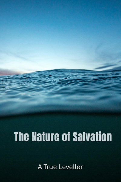 Cover for The Nature of Salvation