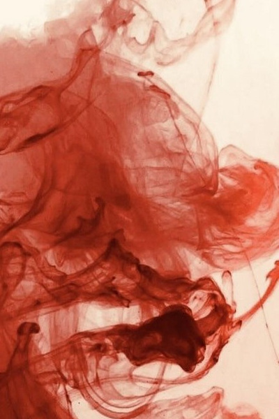 Cover for The Scarlet Wraith