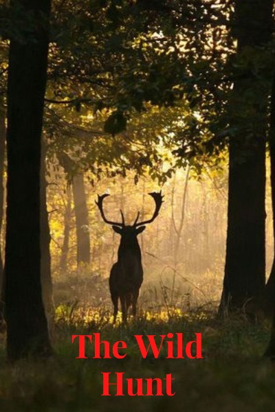 The Wild Hunt{A Time Loop LITRPG}