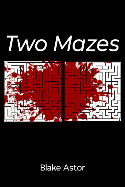 Cover for Two Mazes
