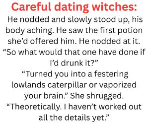 Banner ad: Dude Wheres My Princess