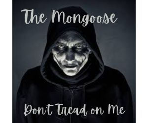 Banner ad: The Mongoose