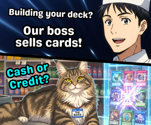 Banner ad: Bodega Cat