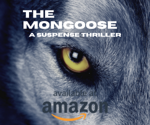Amazon Banner ad